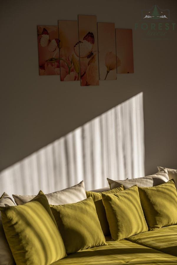 Forest Breeze ApartTerrace Brașov Exterior foto