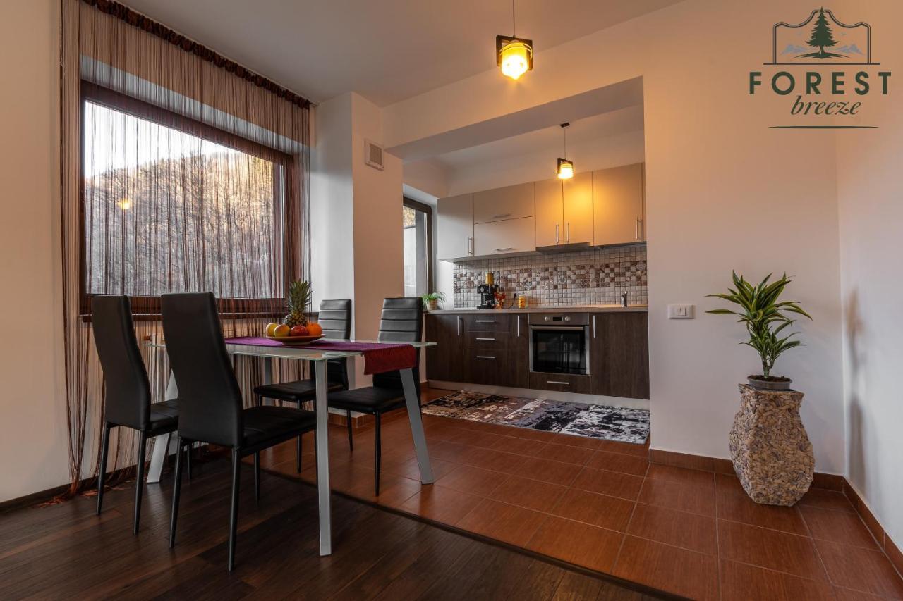 Forest Breeze ApartTerrace Brașov Exterior foto